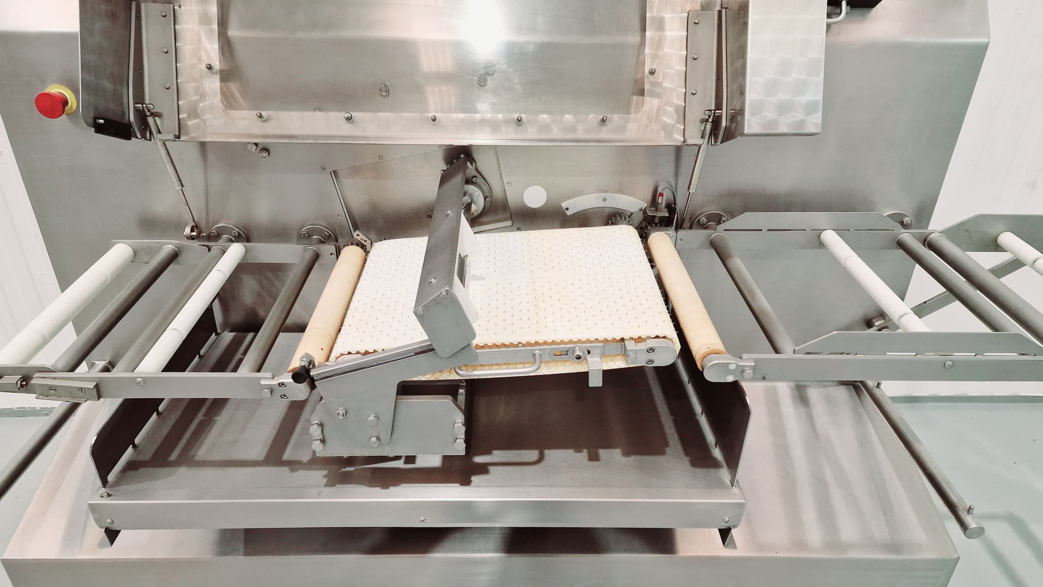 LONCHEADORA AUTOMÁTICA DE SALMÓN GEBA  GPS200 miniatura 8