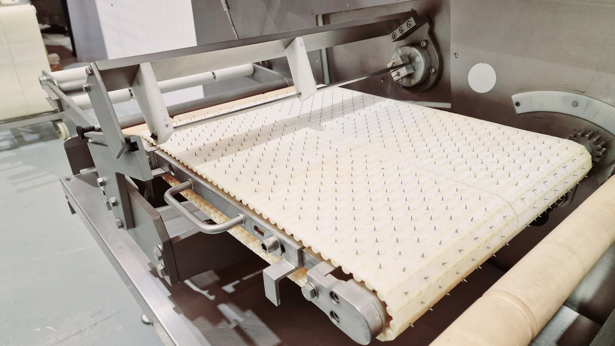 LONCHEADORA AUTOMÁTICA DE SALMÓN GEBA  GPS200 miniatura 9