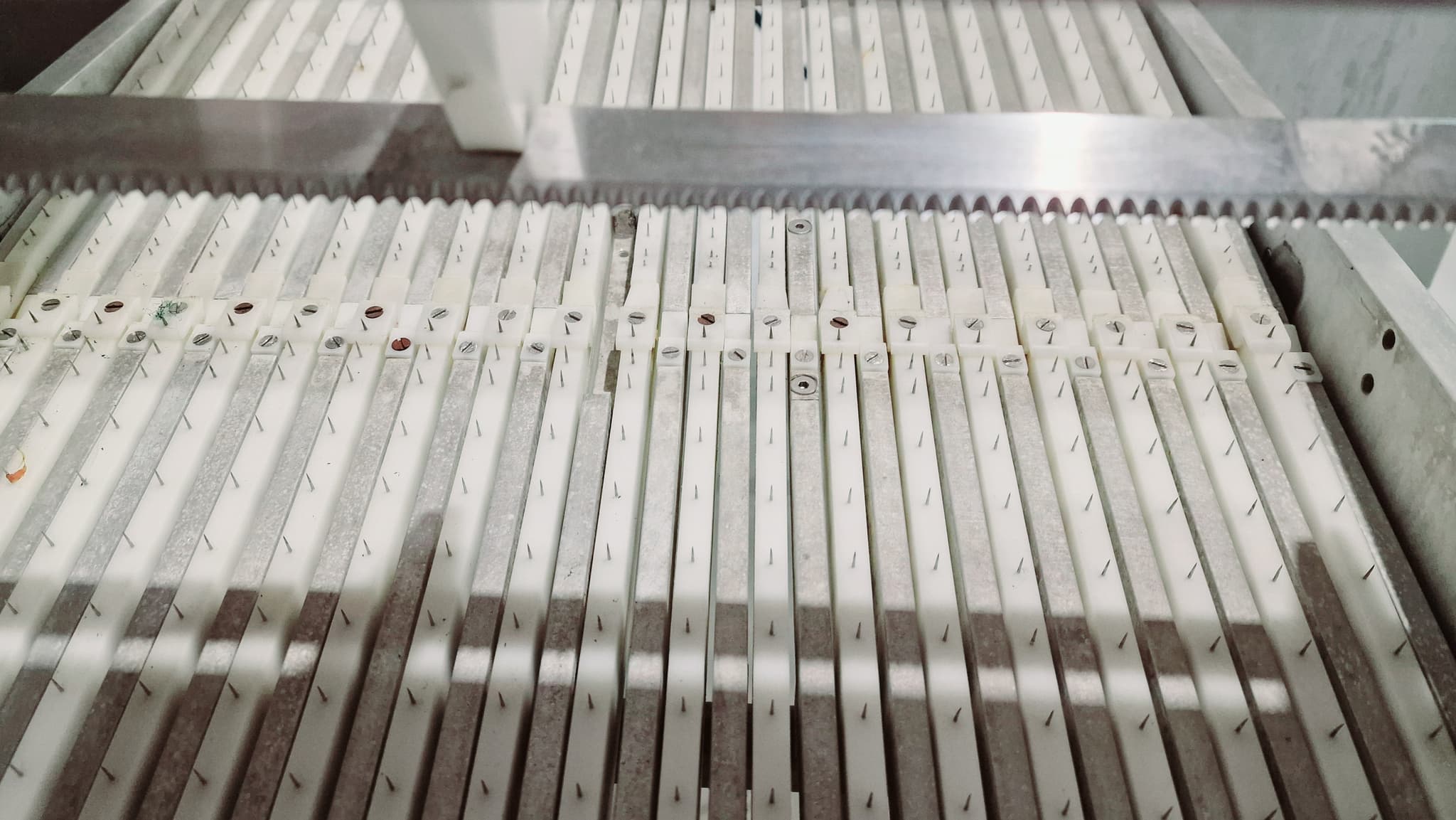 Loncheadora automática salmón GEBA  VSM200D miniatura 11