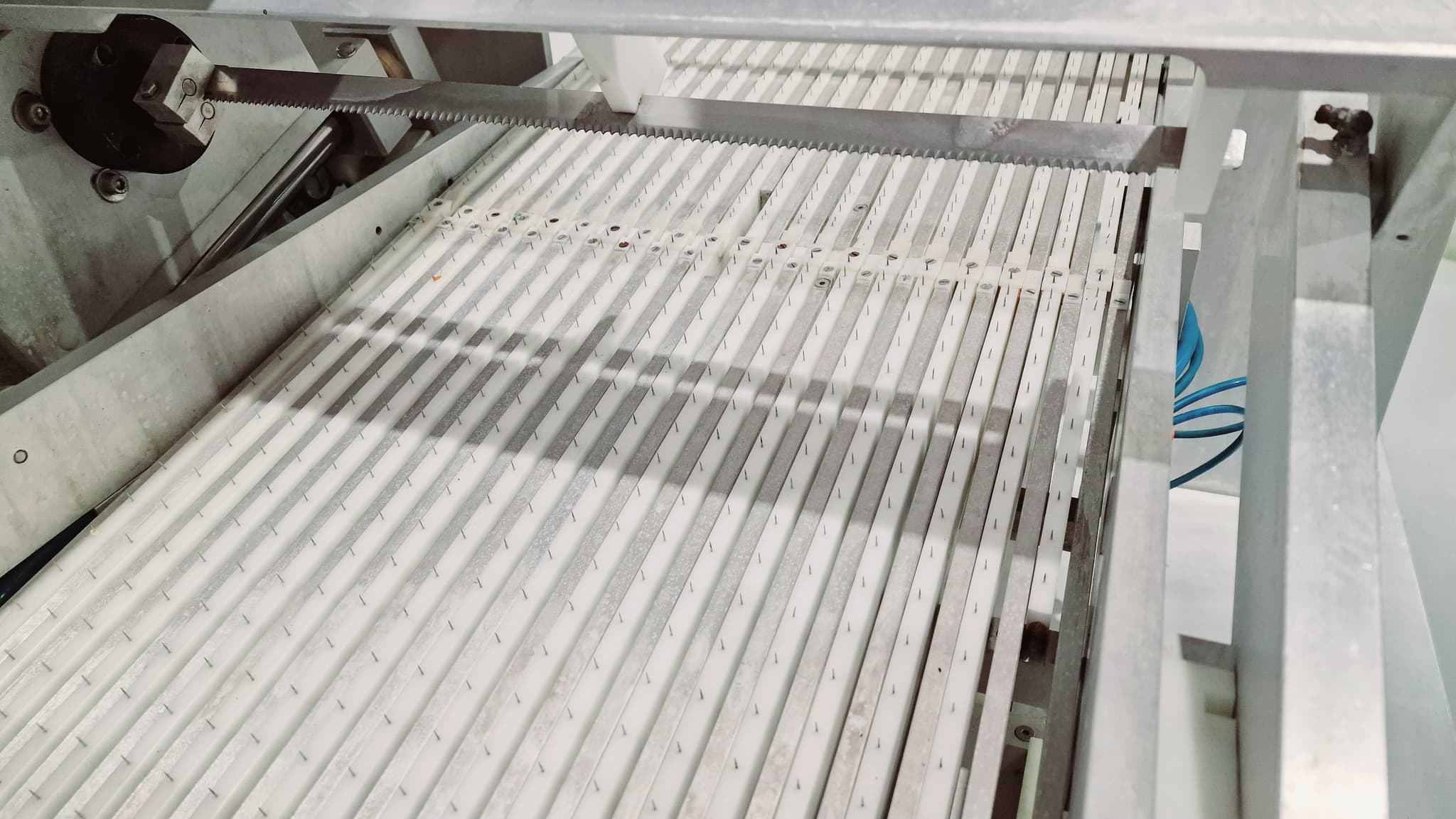 Loncheadora automática salmón GEBA  VSM200D miniatura 10