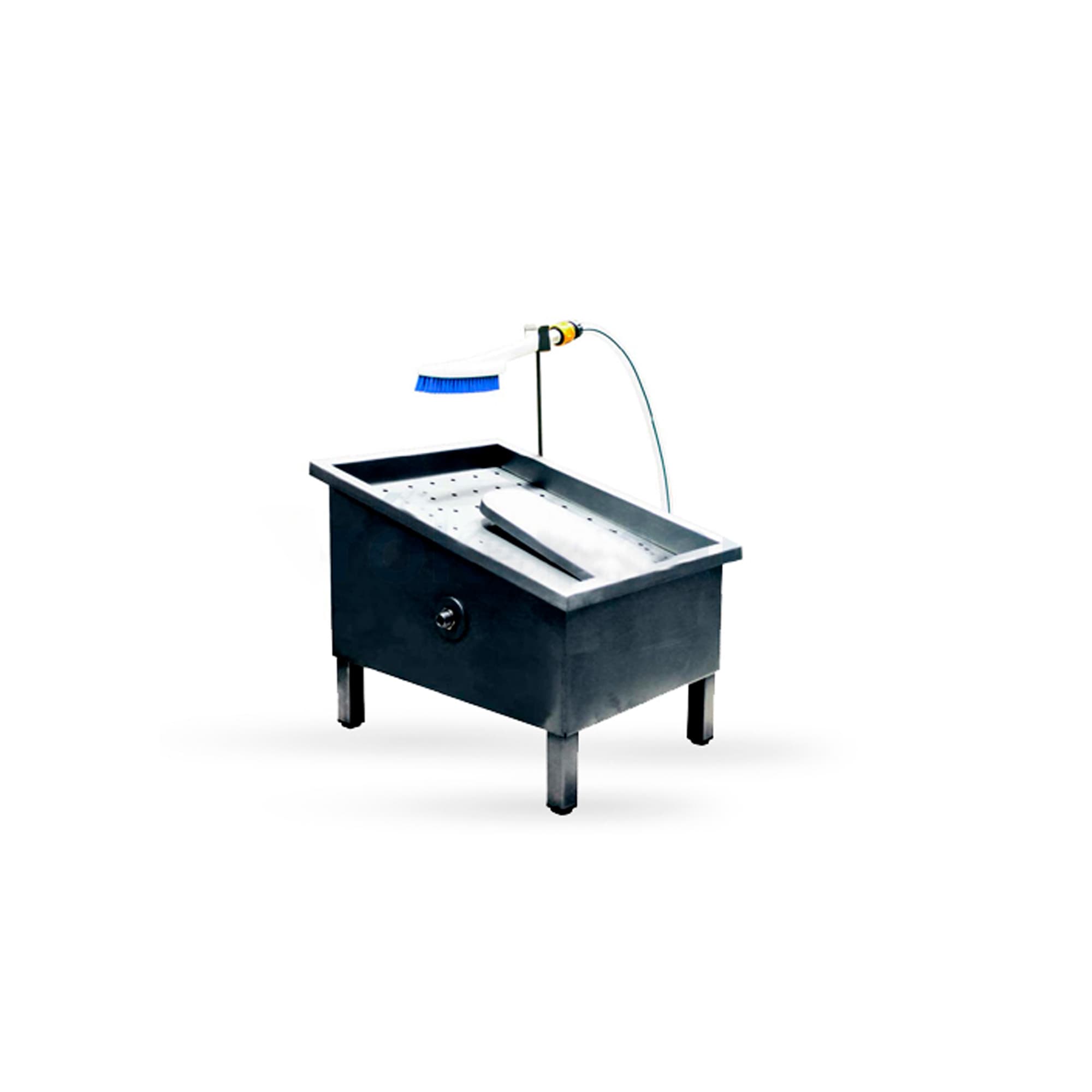 Lavadora de zapatos a mano